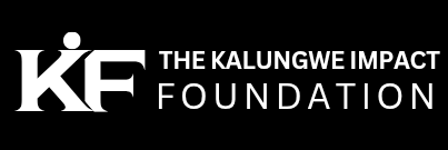 Partner logo 4